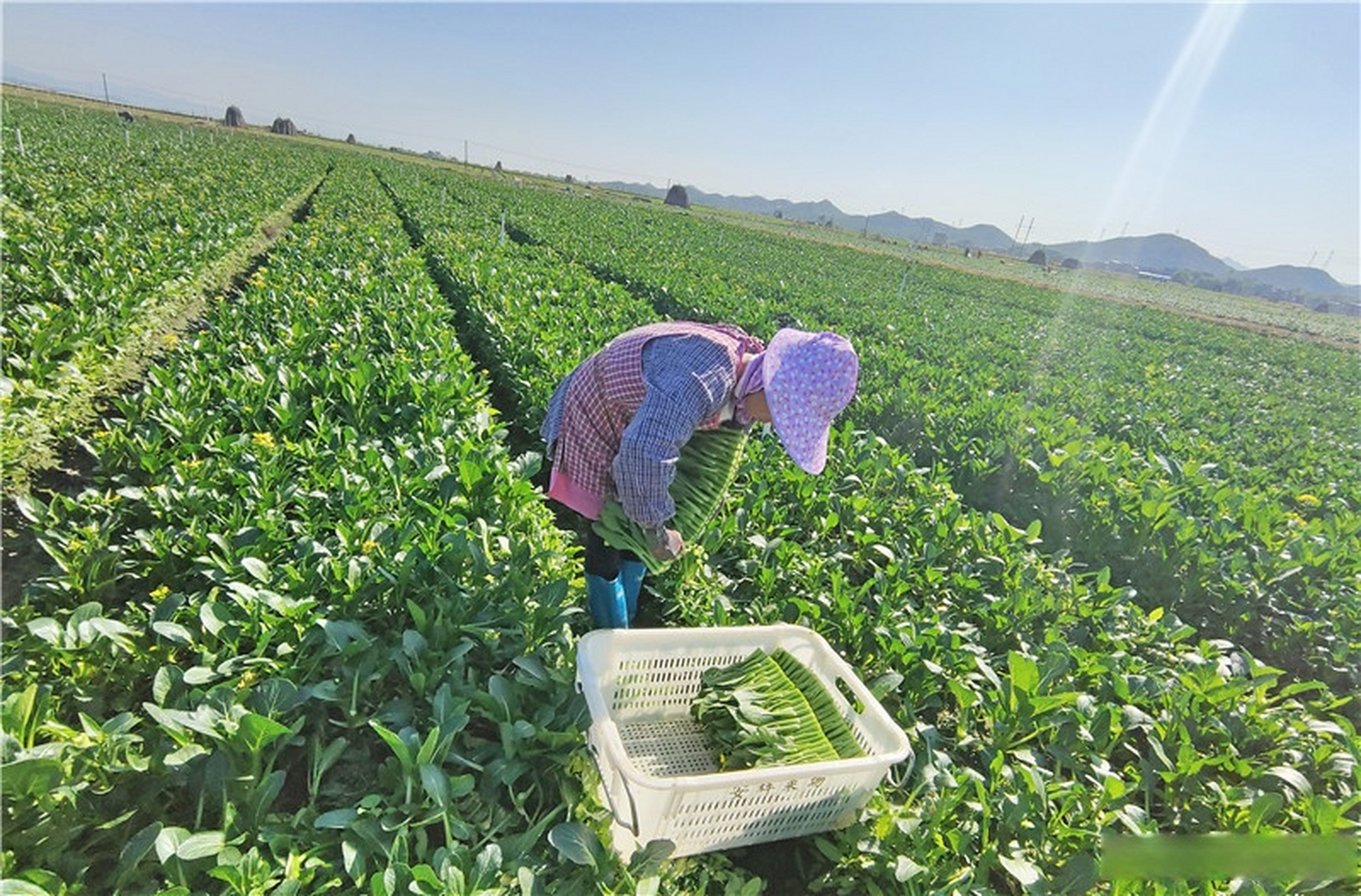 2025青海-澳门经贸交流合作活动首批成果落地