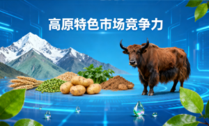 高原特色市场竞争力